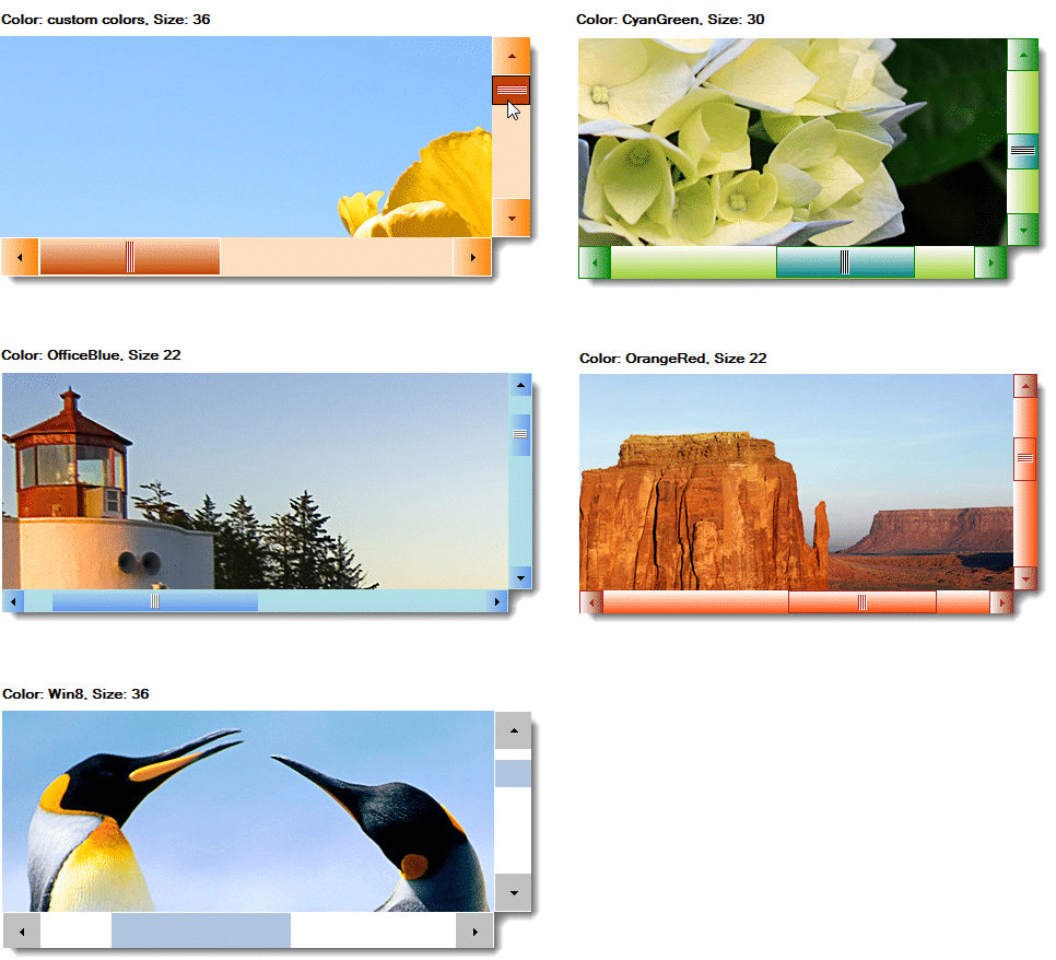 Hypernova ScrollBars for WinForms